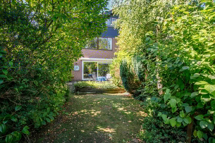 Foto 36 van Luzerneklaver 21