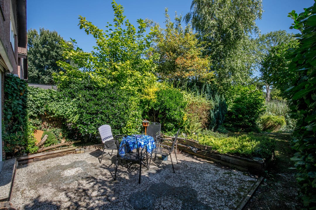 Foto 32 van Luzerneklaver 21