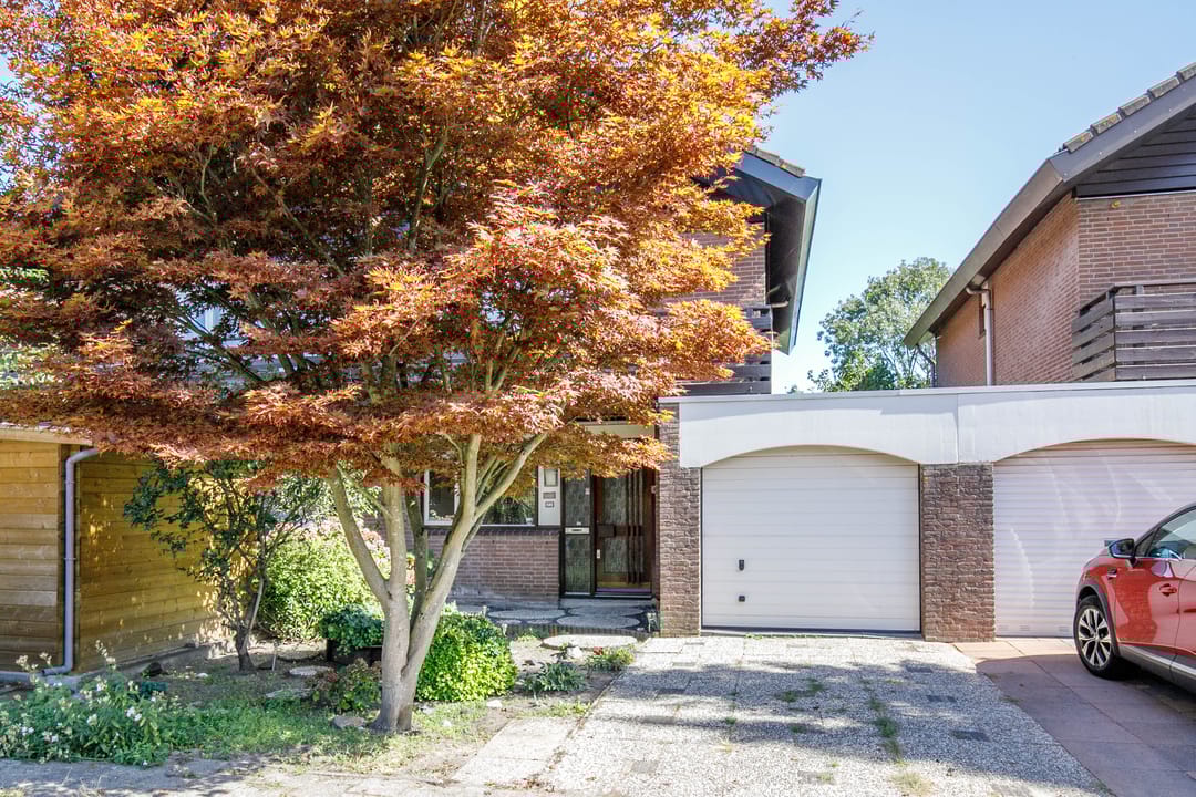 Foto 38 van Luzerneklaver 21