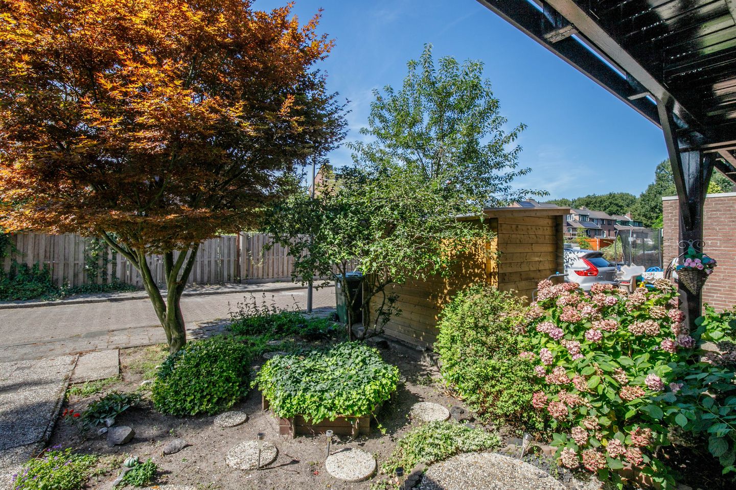 Foto 40 van Luzerneklaver 21