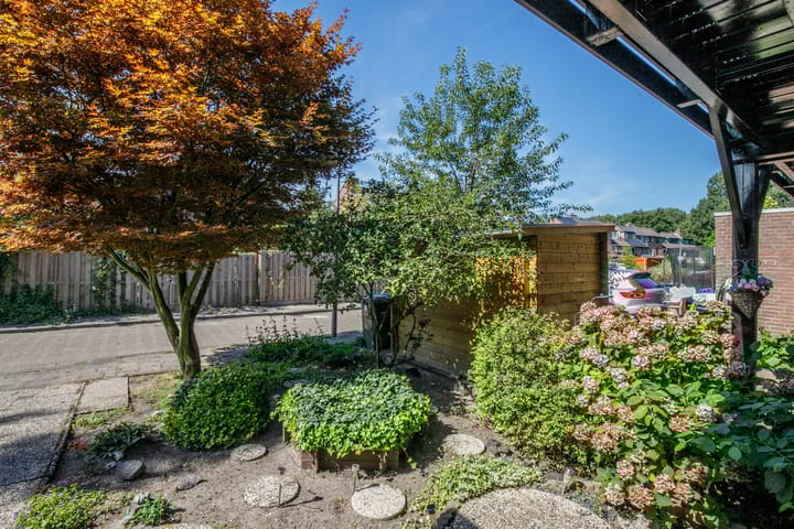 Foto 40 van Luzerneklaver 21