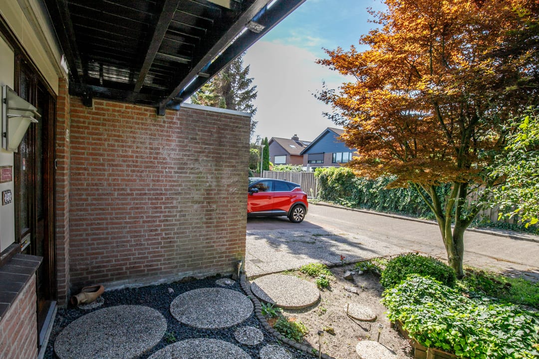 Foto 41 van Luzerneklaver 21