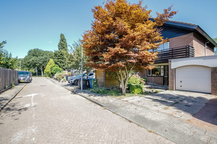 Foto 42 van Luzerneklaver 21