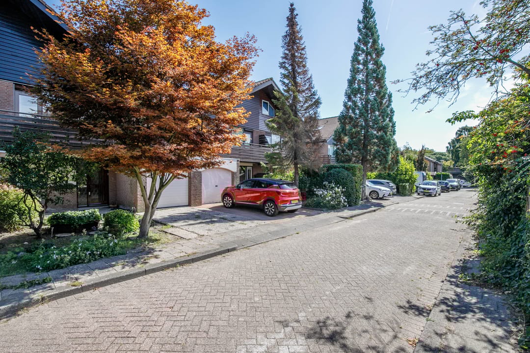 Foto 43 van Luzerneklaver 21