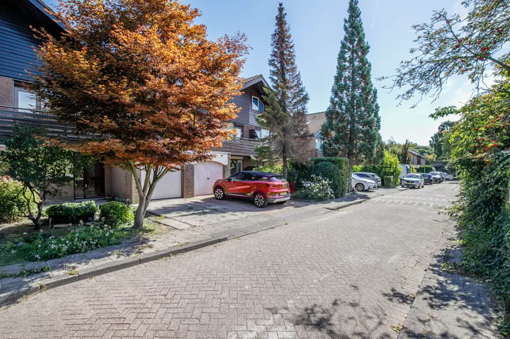 Foto 43 van Luzerneklaver 21