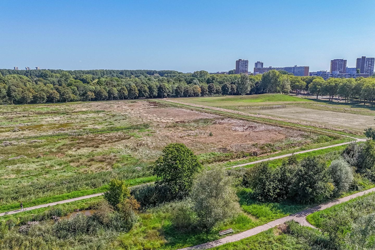 Foto 44 van Luzerneklaver 21