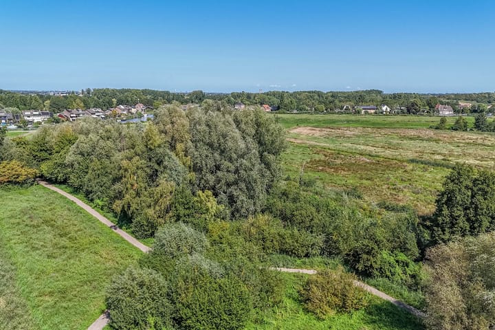 Foto 45 van Luzerneklaver 21