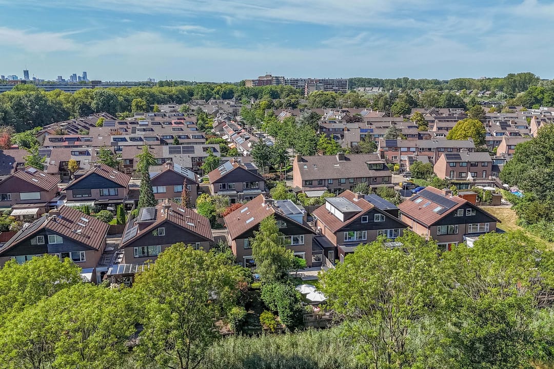 Foto 46 van Luzerneklaver 21