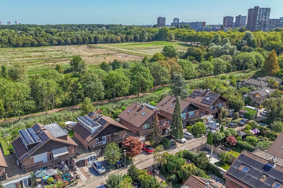 Foto 47 van Luzerneklaver 21