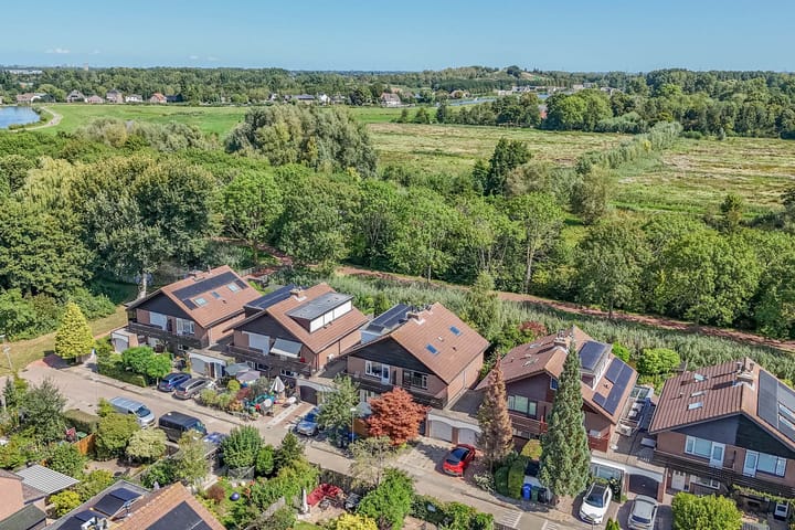 Foto 48 van Luzerneklaver 21