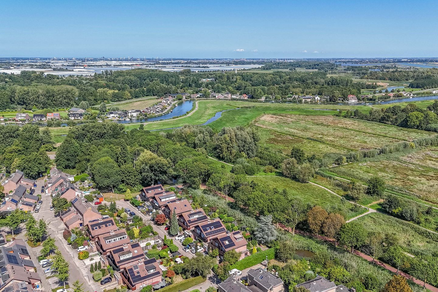 Foto 50 van Luzerneklaver 21