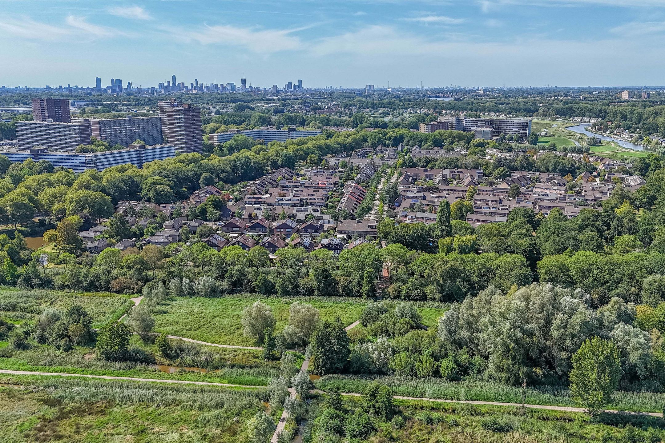 Foto 51 van Luzerneklaver 21