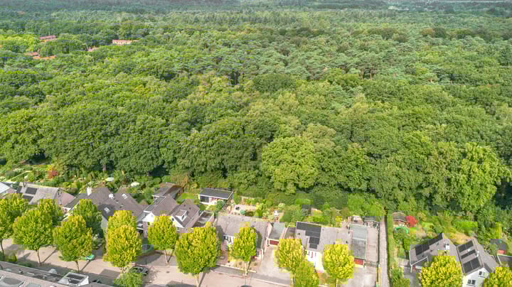 Foto 4 van Apollovlinder 32