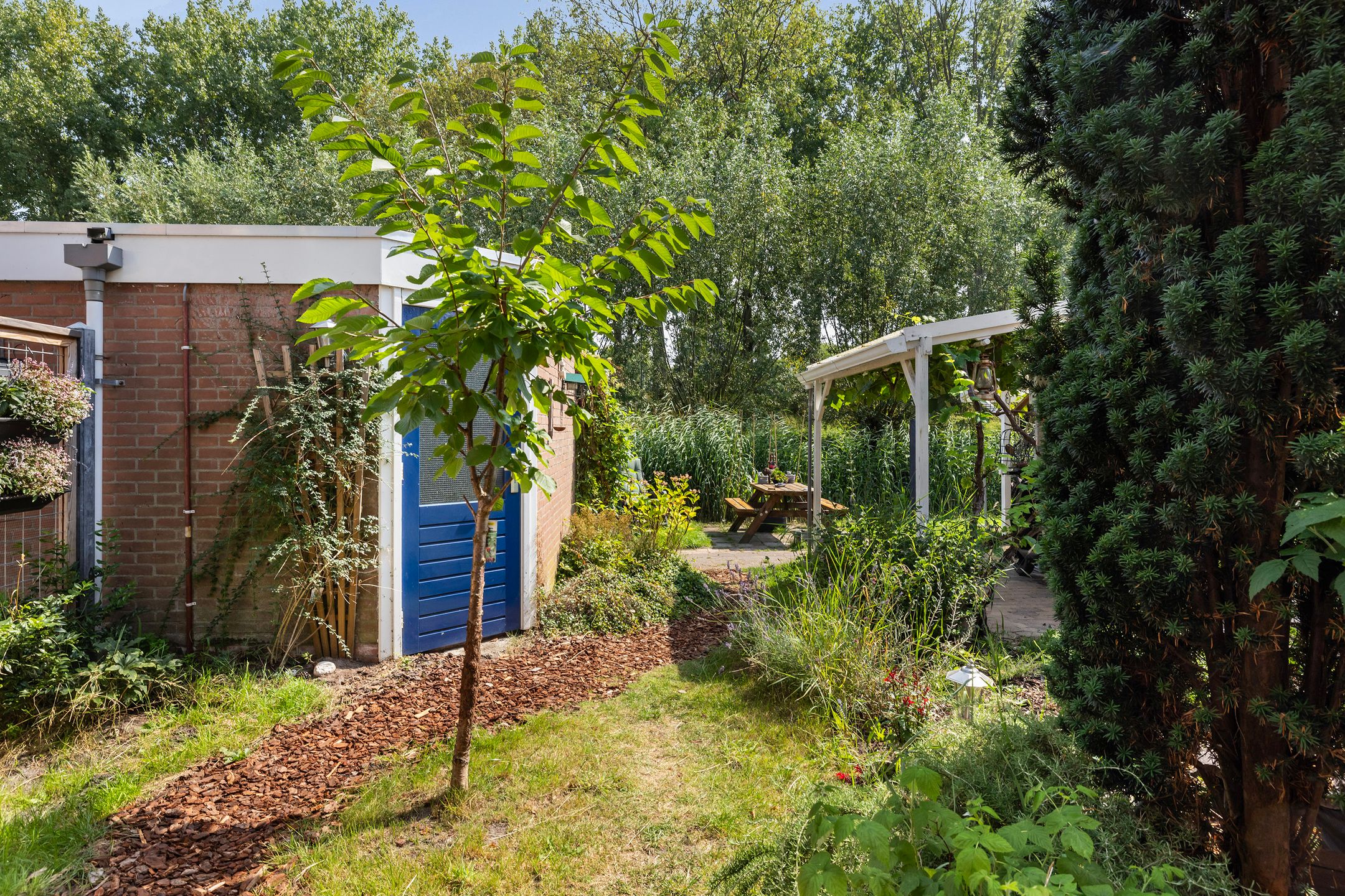 Photo 18 of Cannenburg 105