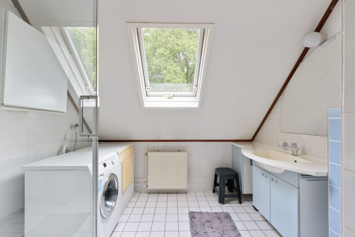 Foto 21 van Apollovlinder 32