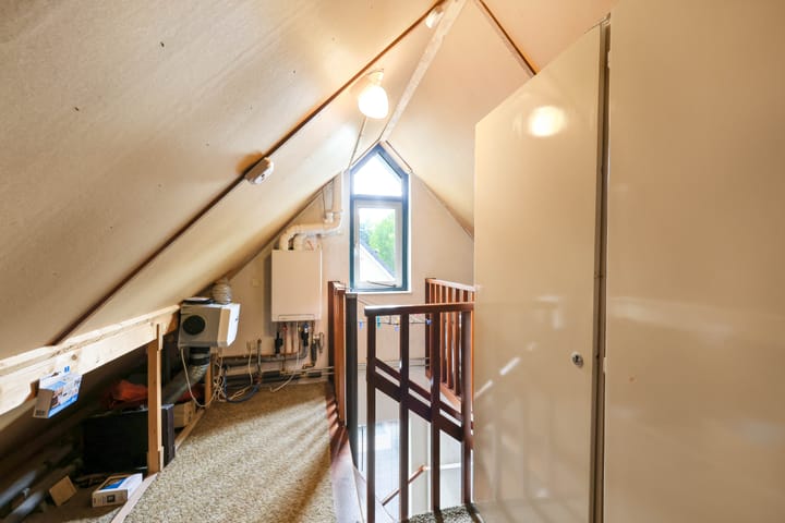 Foto 26 van Apollovlinder 32