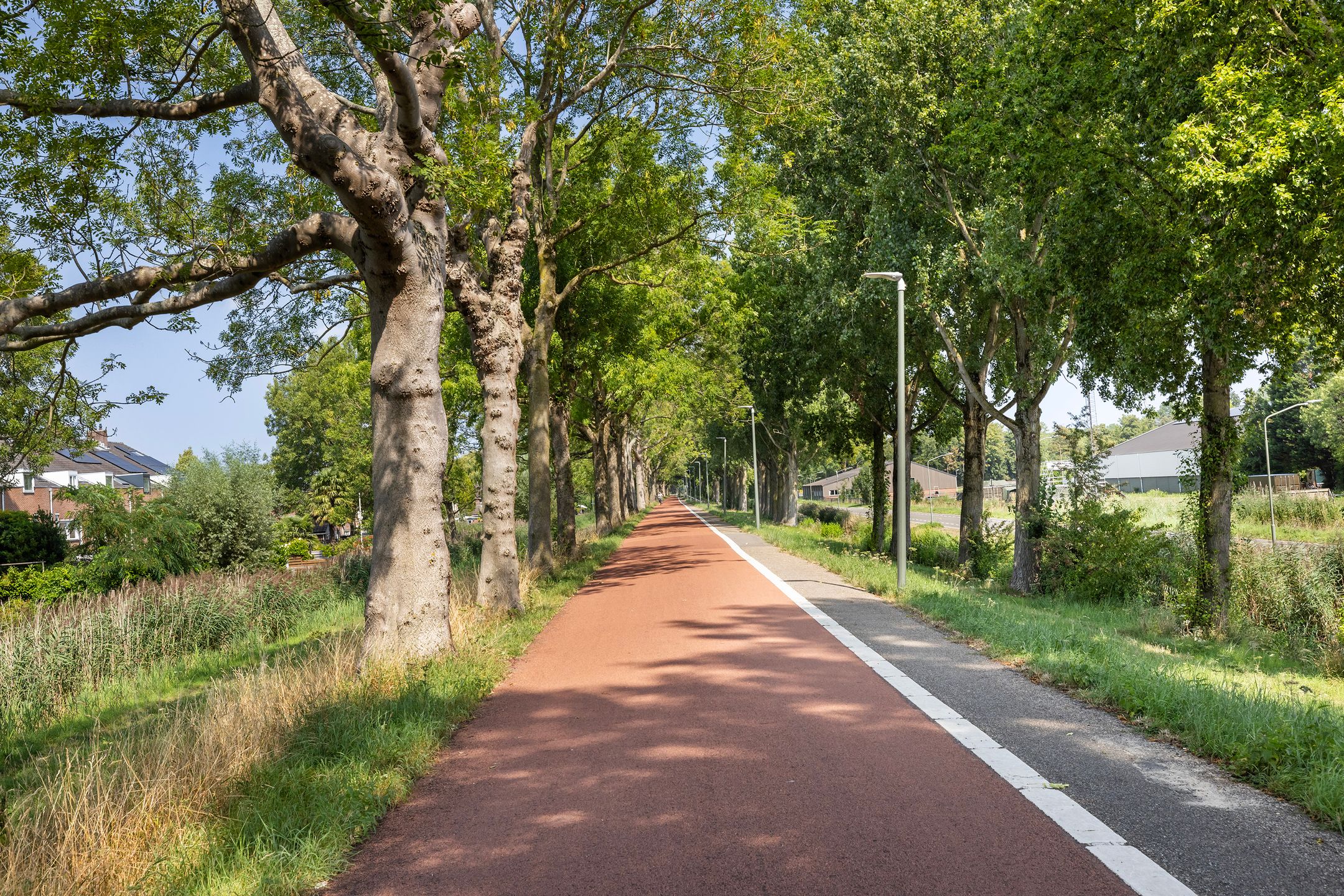 Photo 33 of Cannenburg 105