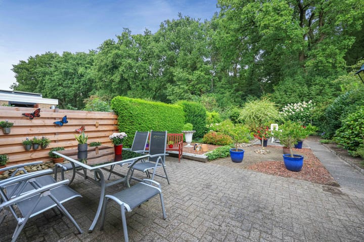 Foto 27 van Apollovlinder 32