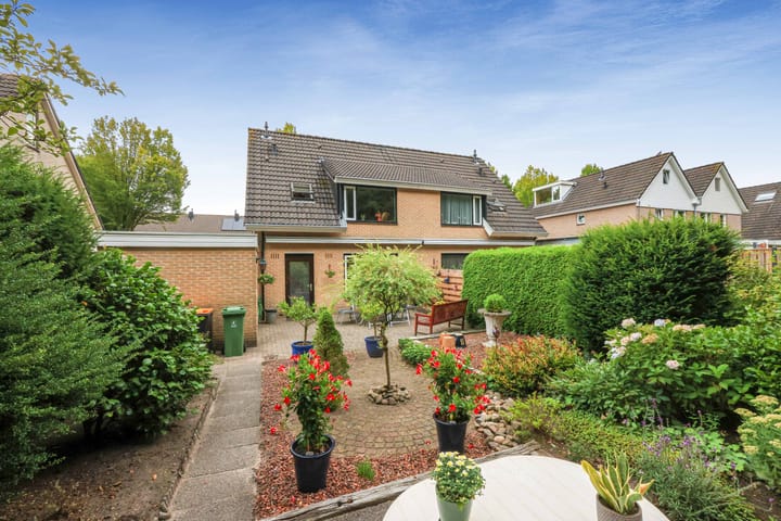 Foto 28 van Apollovlinder 32