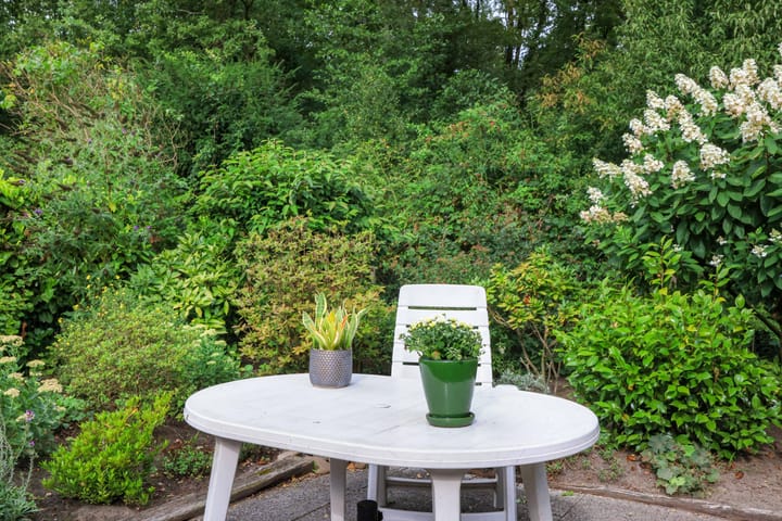 Foto 29 van Apollovlinder 32