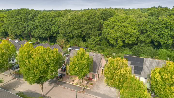 Foto 30 van Apollovlinder 32