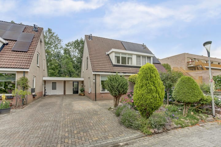 Foto 6 van De Trippen 30-B