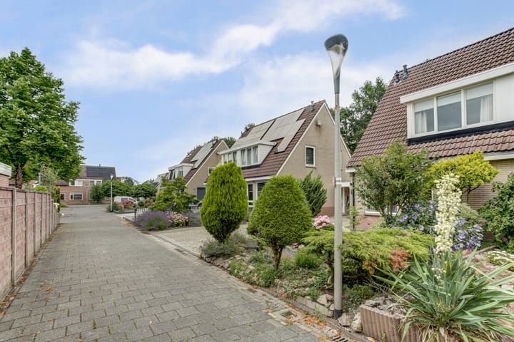 Foto 7 van De Trippen 30-B