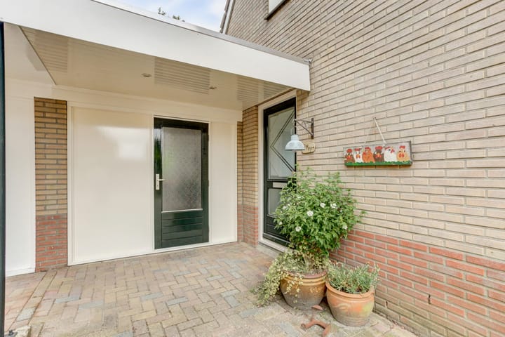 Foto 8 van De Trippen 30-B