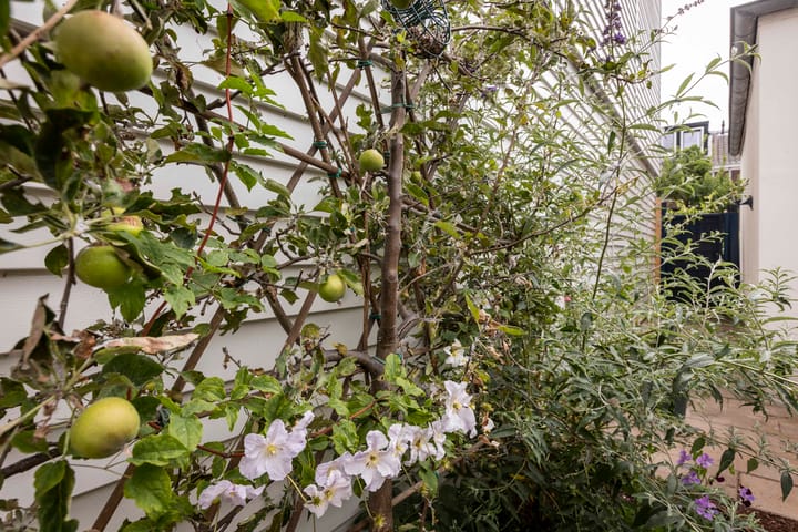 Foto 23 van Oudwijkerdwarsstraat 102