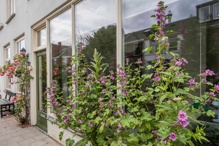 Foto 52 van Oudwijkerdwarsstraat 102