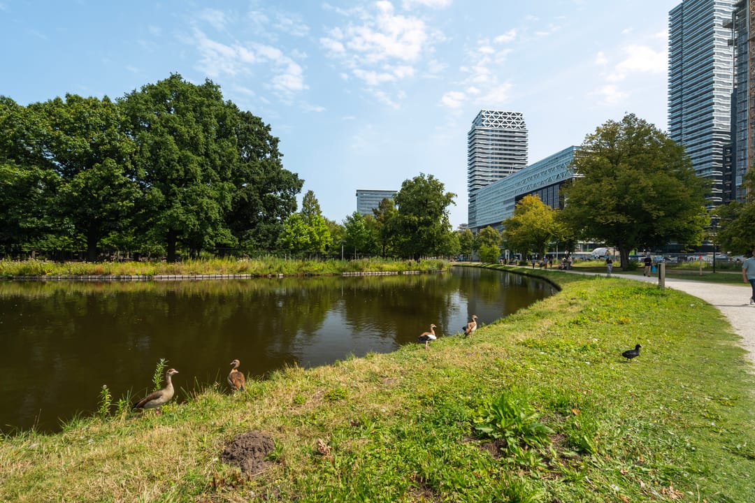 Photo 46 of Anna van Buerenplein 70