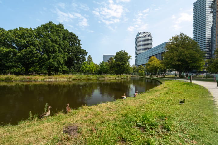 Foto 46 van Anna van Buerenplein 70