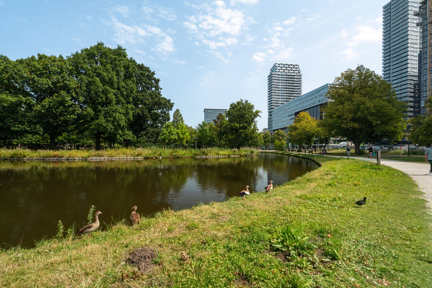 Foto 40 van Anna van Buerenplein 97