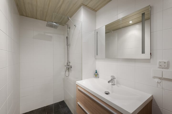 Foto 4 van Schelfhorst 77