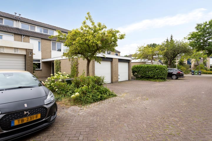 Foto 7 van Winterakoniet 43