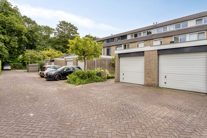 Foto 9 van Winterakoniet 43