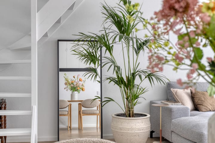 Foto 21 van Winterakoniet 43