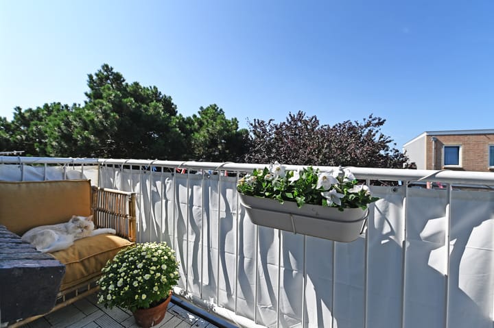 Foto 4 van Asterstraat 72