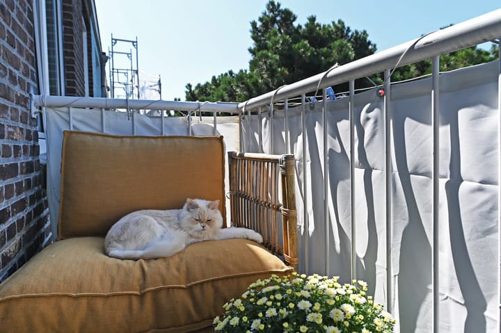 Foto 12 van Asterstraat 72