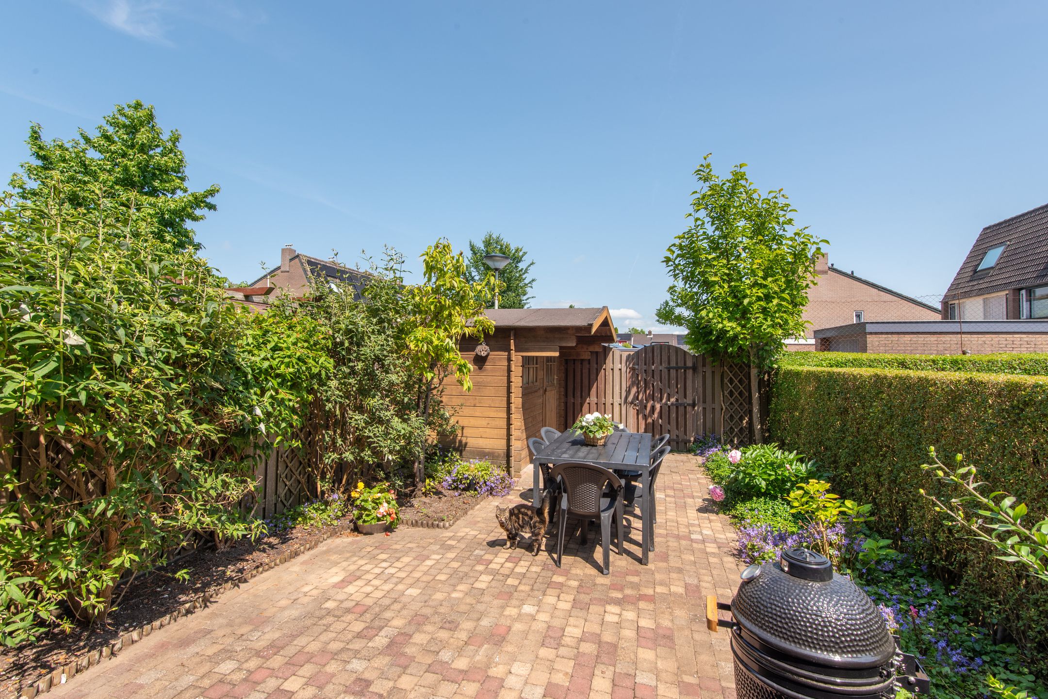 Photo 33 of Langeweide 269