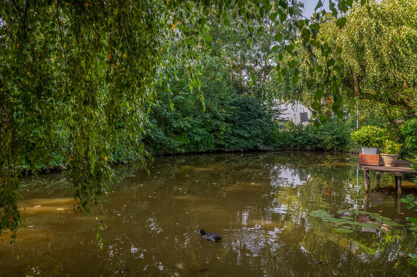 Photo 34 of Erasmustuin 14