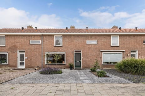 undefined main image