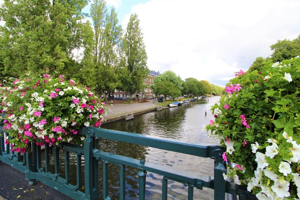 Foto 17 van Milletstraat 50-4