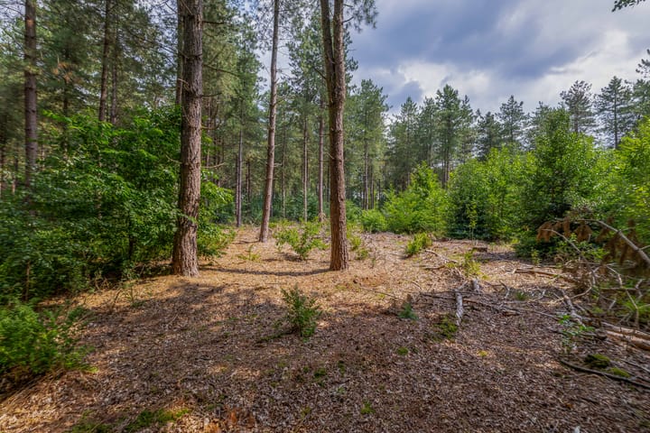 Foto 51 van Rooije-Aschweg 16