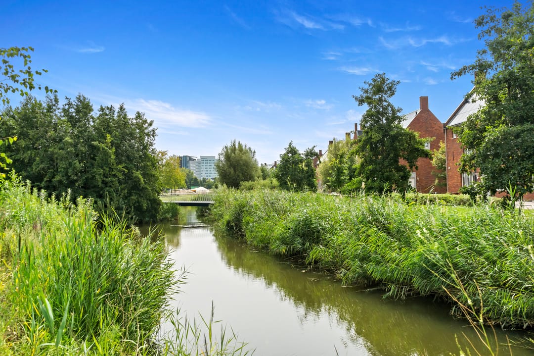 Photo 38 of Frogersingel 10