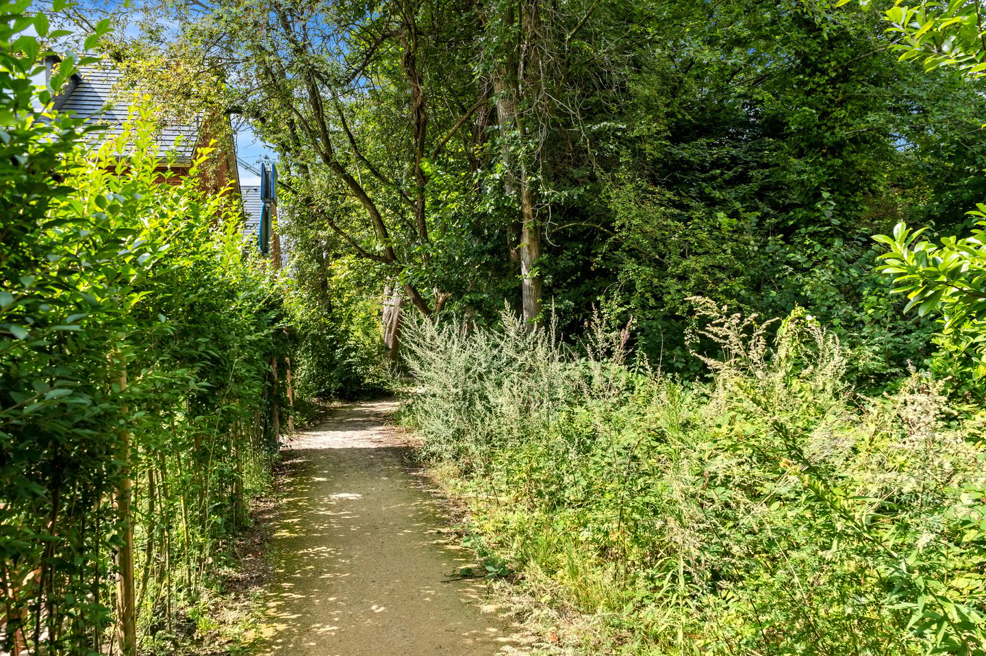 Photo 40 of Frogersingel 10