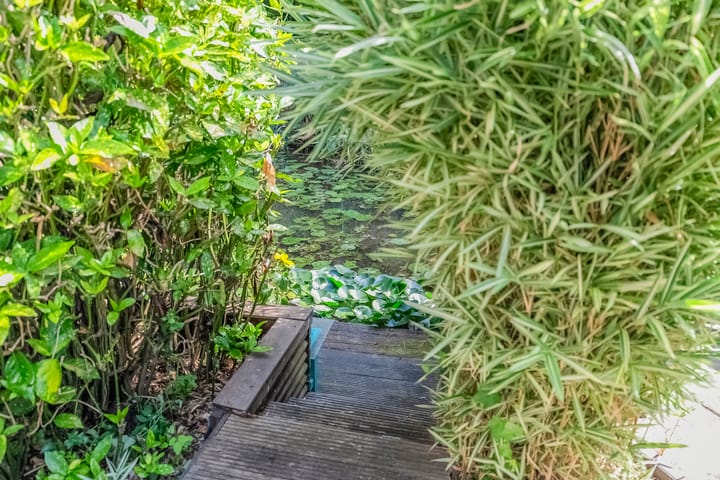 Foto 42 van Merijntje Gijzenburg 17