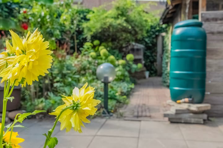 Foto 43 van Merijntje Gijzenburg 17