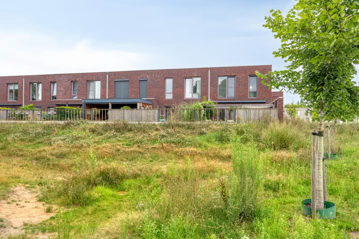 Foto 37 van Orkest 32