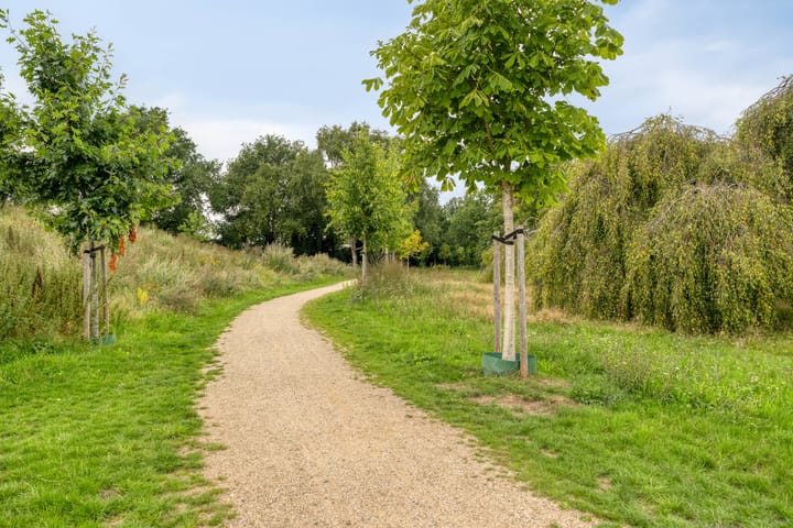 Foto 38 van Orkest 32